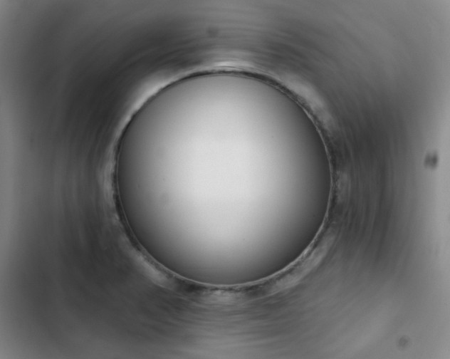 X0000102851374200808251152