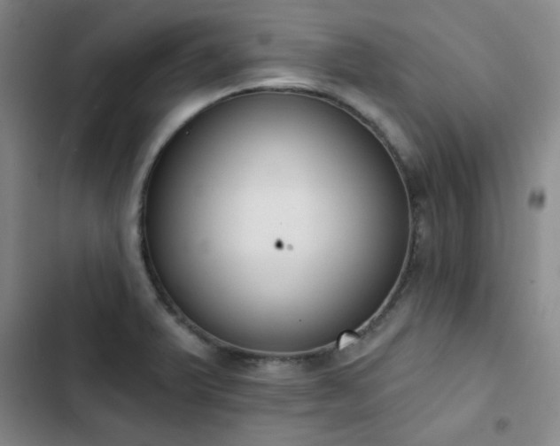 X0000102851375200808251152