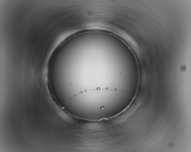 X0000102851376200808251152