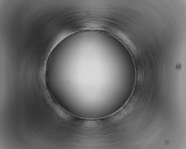 X0000102851378200808251152