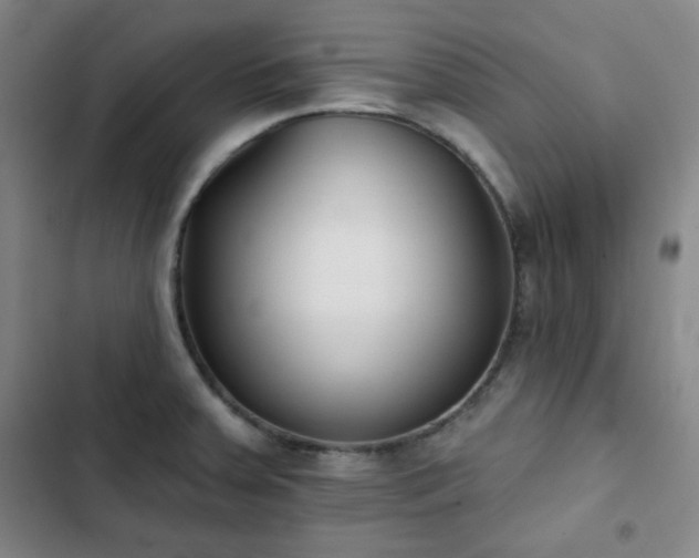 X0000102851379200808251152