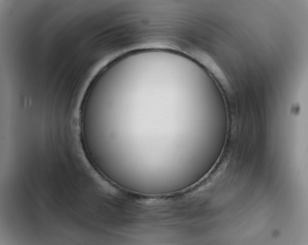 X0000102851380200808251152