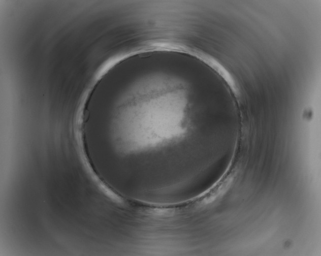 X0000102851381200808251151