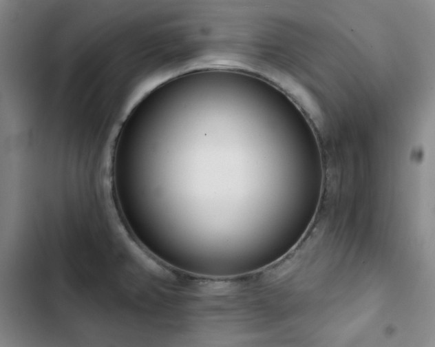 X0000102851382200808251151