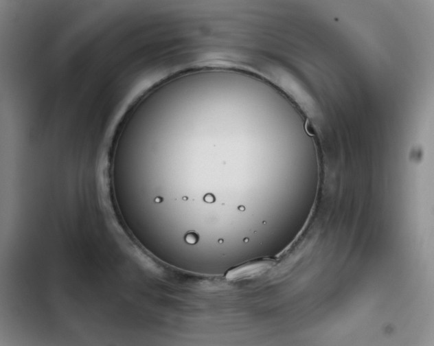 X0000102851384200808251151