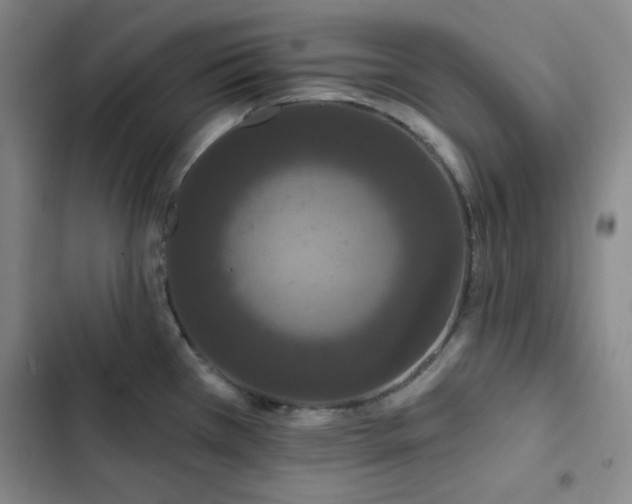 X0000102851385200808251151