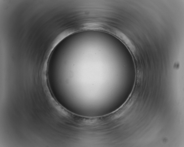 X0000102851386200808251151