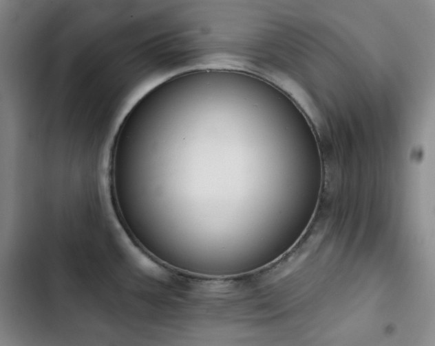 X0000102851387200808251151