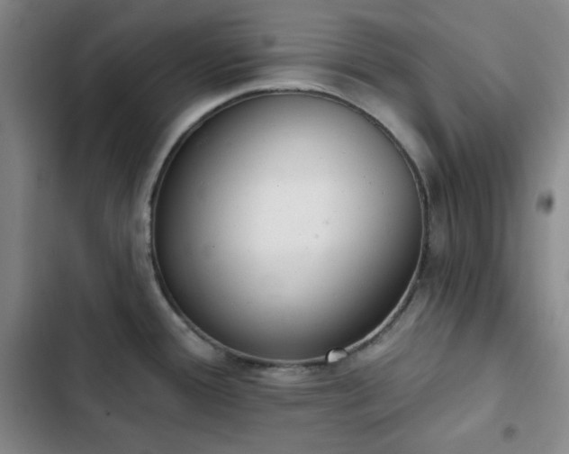 X0000102851388200808251151