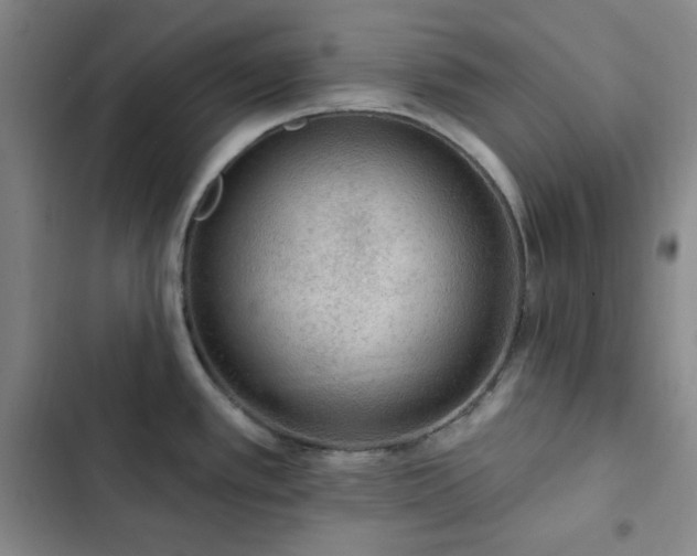 X0000102851389200808251151