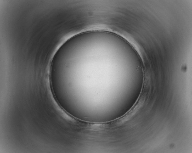 X0000102851390200808251151