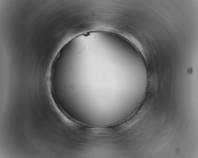 X0000102851391200808251151