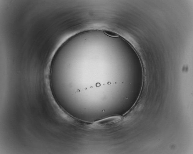 X0000102851392200808251151