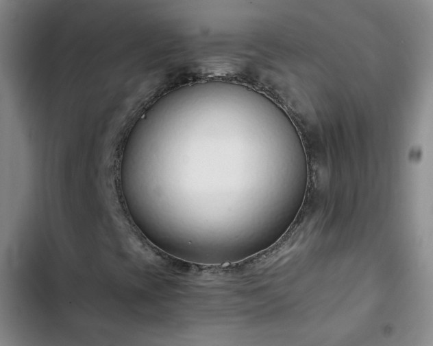 X0000102851393200808251151