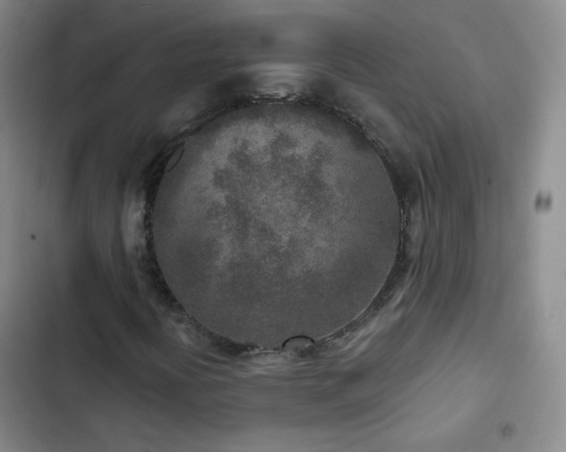 X0000102851394200808251151