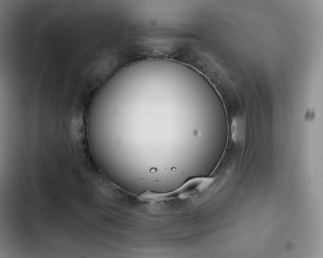 X0000102851395200808251151