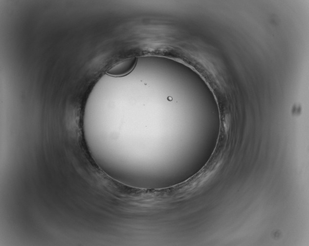 X0000102851396200808251151