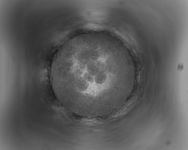 X0000102851397200808251151