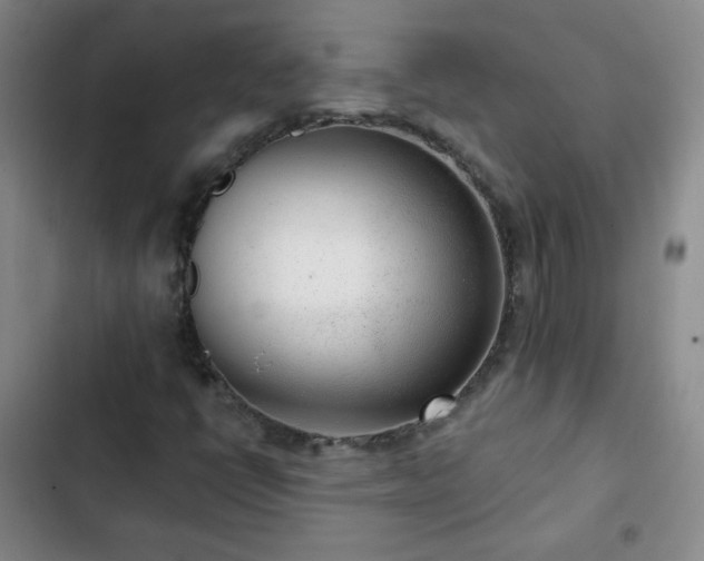 X0000102851398200808251151