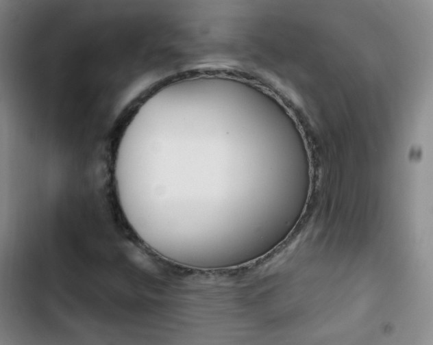 X0000102851400200808251151