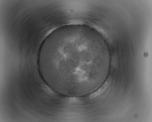 X0000102851401200808251151