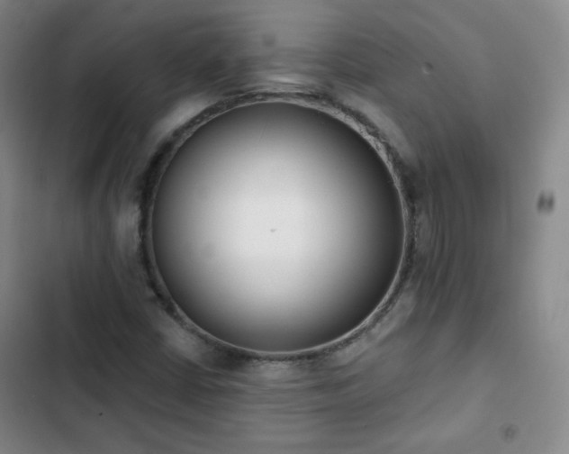 X0000102851402200808251151