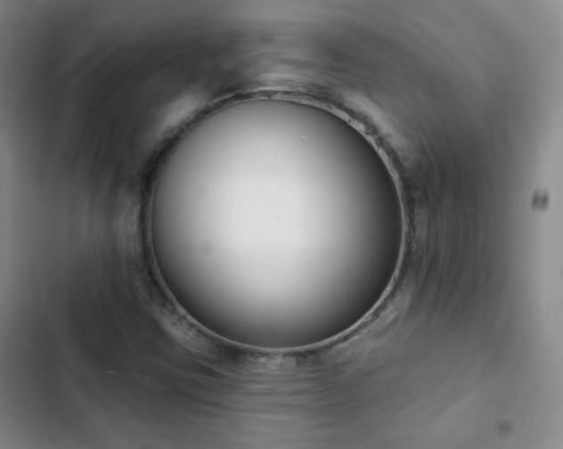 X0000102851403200808251151