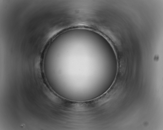 X0000102851404200808251151