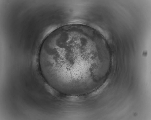 X0000102851405200808251151