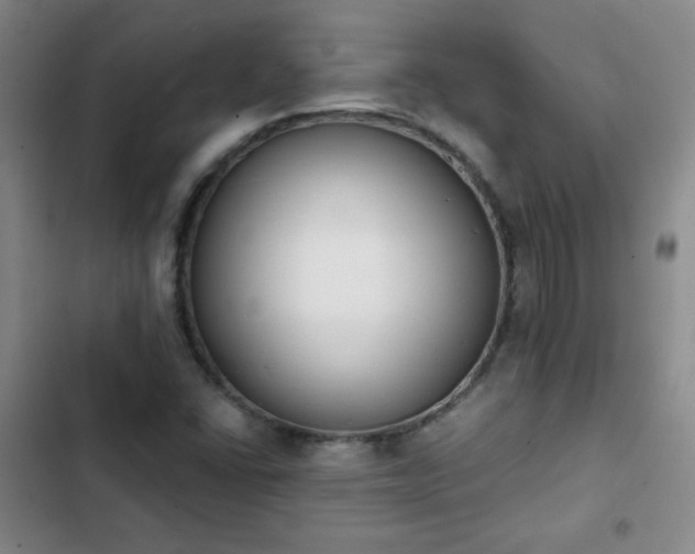 X0000102851406200808251151