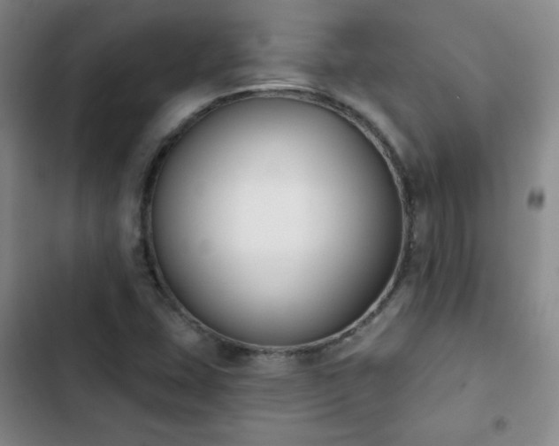 X0000102851407200808251151