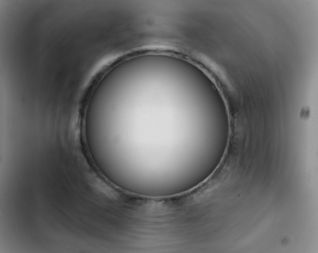 X0000102851408200808251151