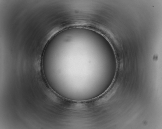 X0000102851409200808251151