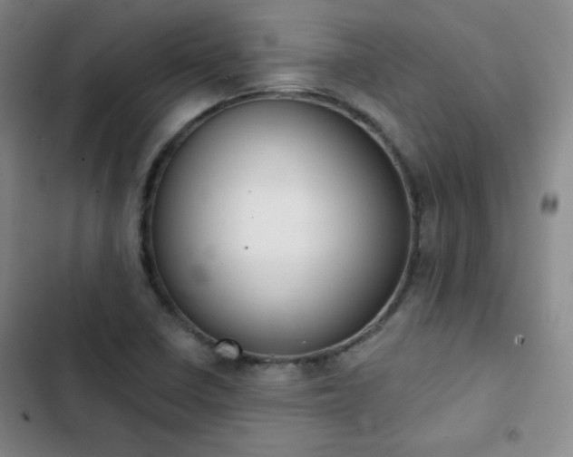 X0000102851410200808251151