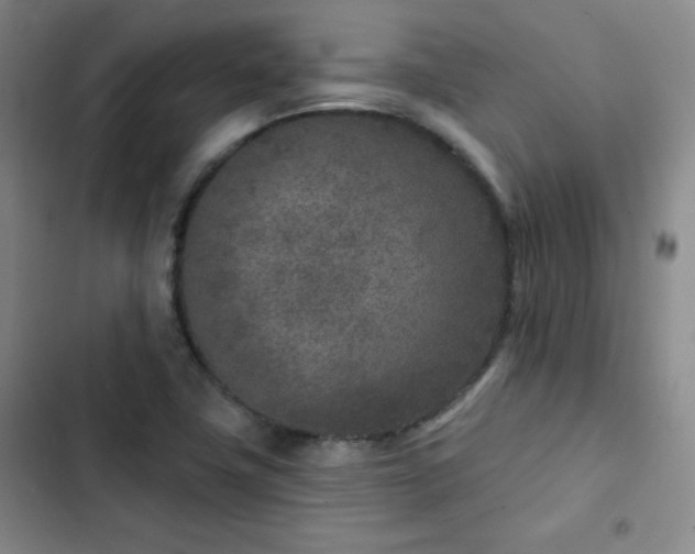 X0000102851411200808251151