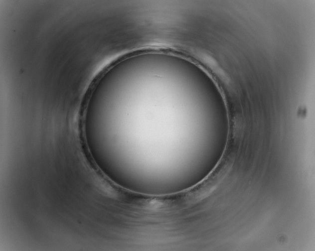 X0000102851412200808251151
