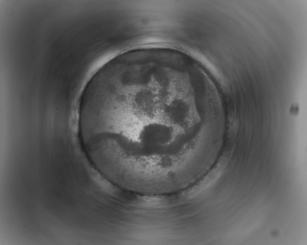 X0000102851413200808251151