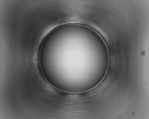 X0000102851415200808251151