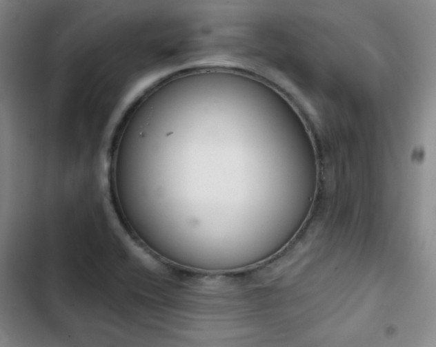 X0000102851416200808251151