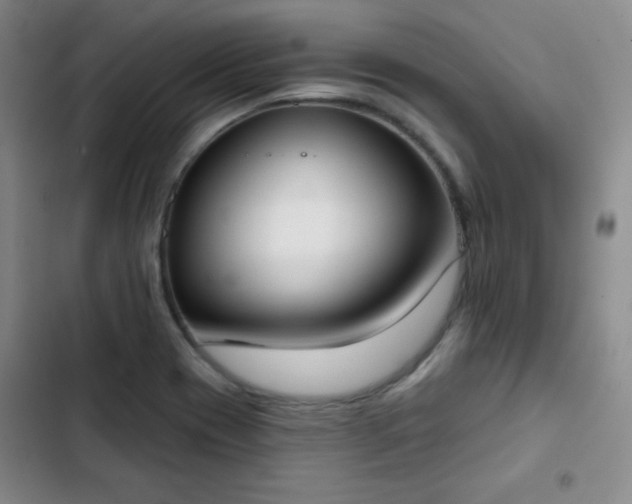 X0000102851417200808251151