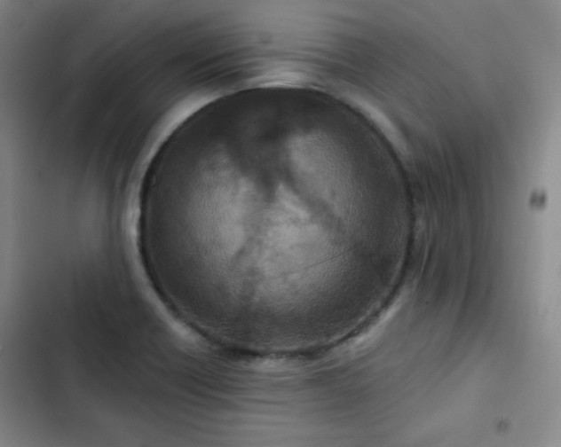 X0000102851418200808251151