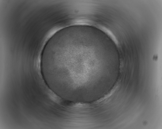 X0000102851419200808251151