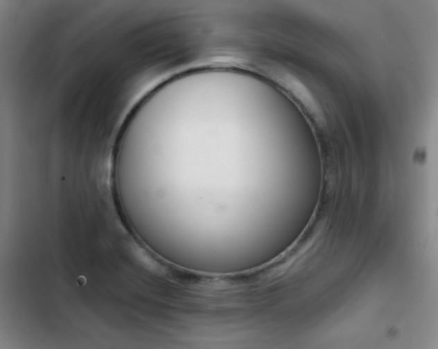 X0000102851420200808251151