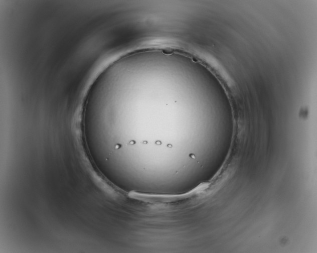X0000102851421200808251151