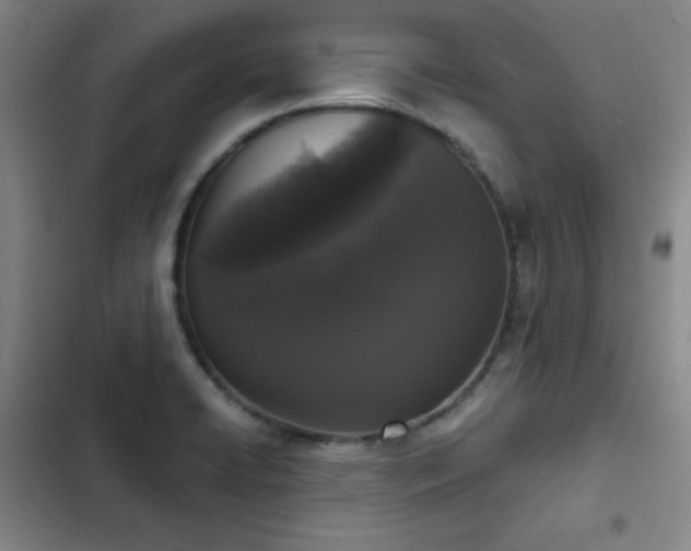 X0000102851422200808251151