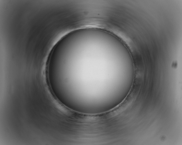 X0000102851423200808251151