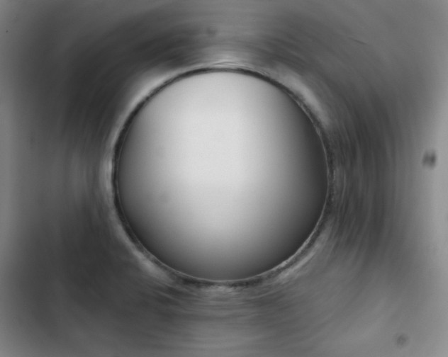 X0000102851424200808251151