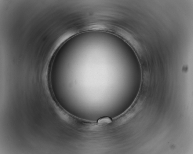 X0000102851426200808251151