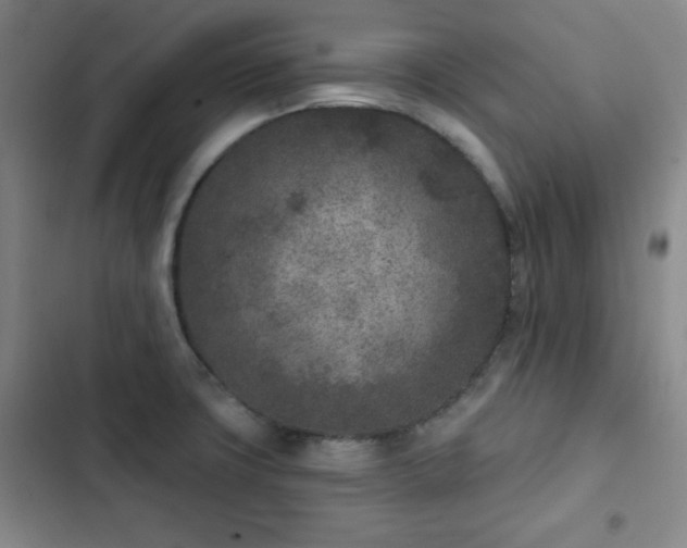 X0000102851427200808251151