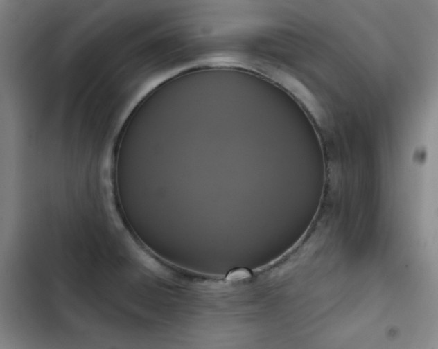 X0000102851428200808251151